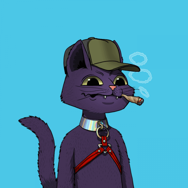 Masterpiece Collection #222