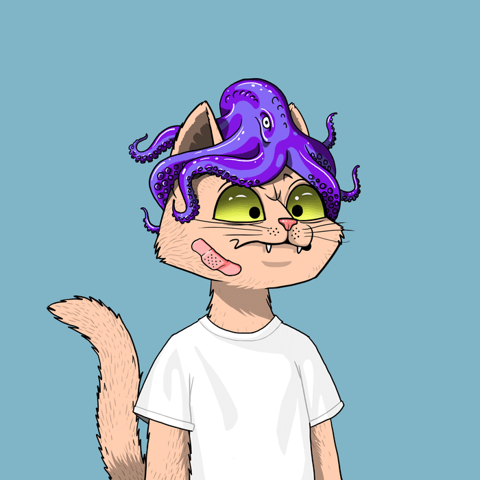 Exclusive Design #017